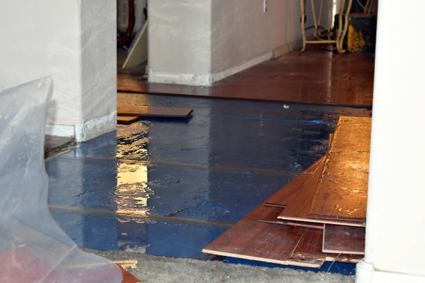 Professional Burst Pipe Cleanup technician working in Rockport, WA